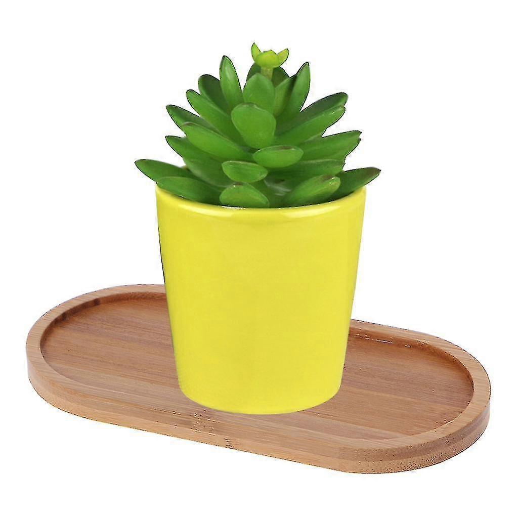 Oval bamboo tray, natural dessert cup tray, small wooden cheese board
