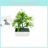 Garden Tree Cymbidium Decor Potted Plant With Realistic Look For Indoor Use
