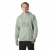 Helly Hansen Core Graphic Hoodie
