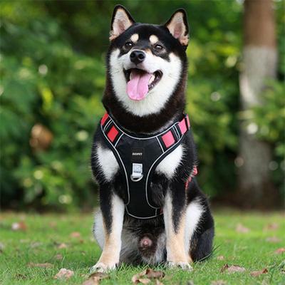 Сверхлегкая шлейка SLC Pet для маленьких, средних и крупных собак, черного и красного цвета.