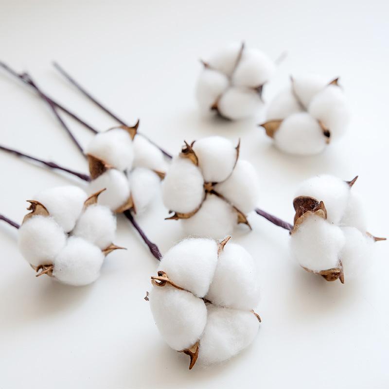 10 шт. Хлопковая головка Натуральный сушеный цветок Искусственный цветок Хлопок Домашний Рождественский декор DIY букет из сушеного хлопка цветочная композиция