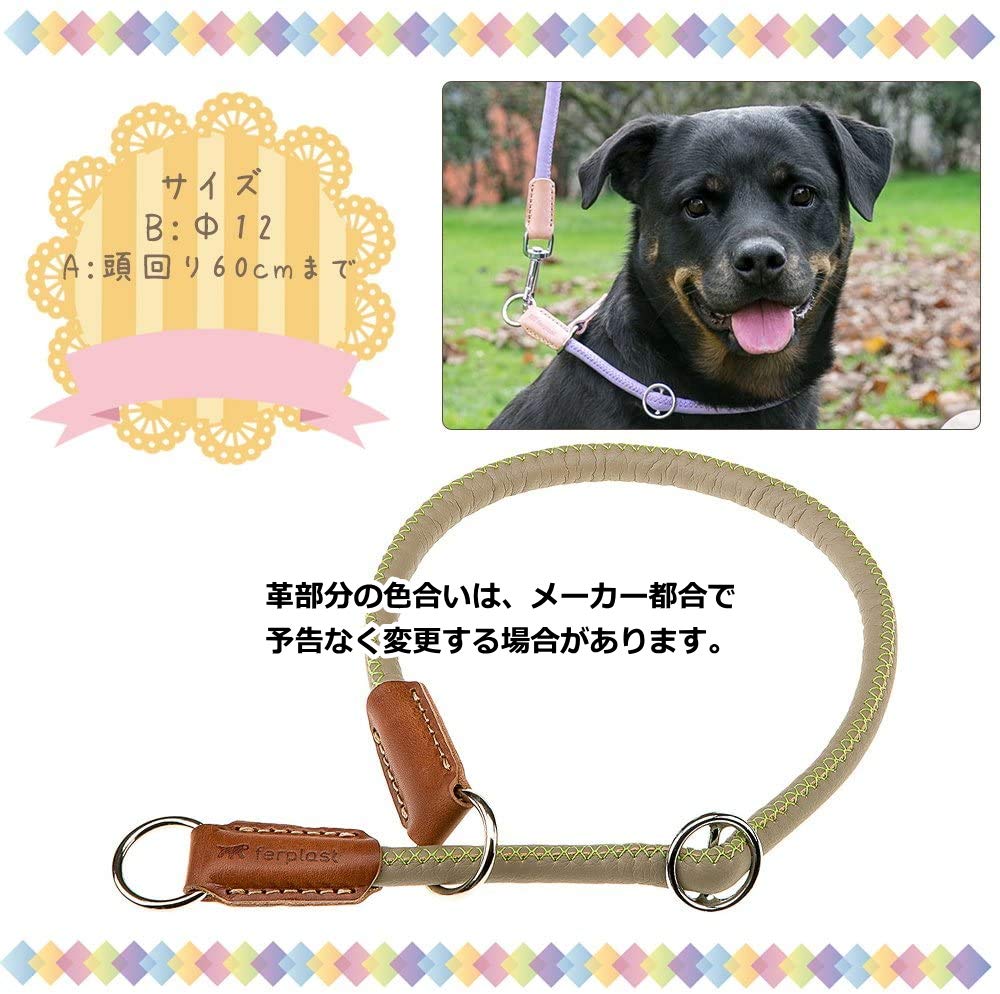 Ferplast Derby Меловой ошейник, Зеленый, GS12/60