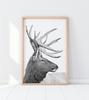 Скандинавский постер с оленями