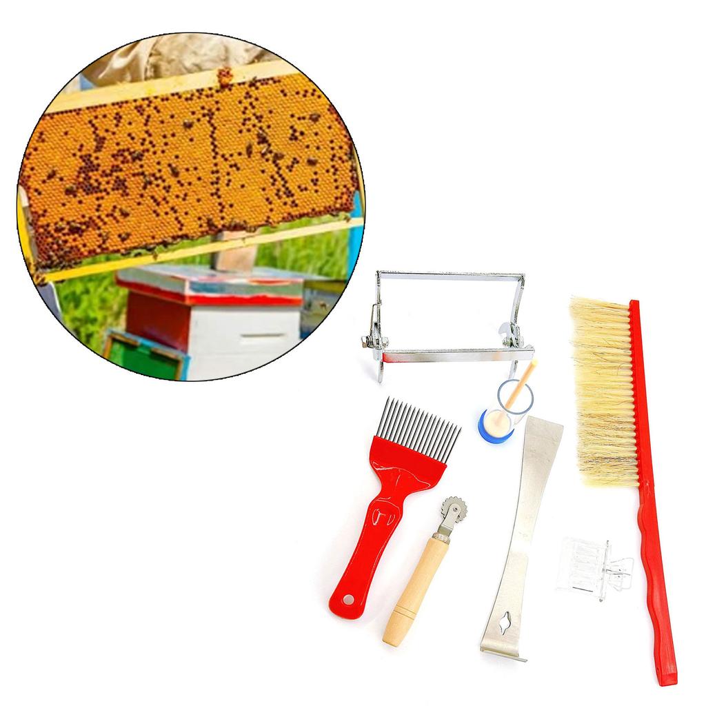 Beekeeping Tool 7pcs/set Beekeeping Supplies Equipment Kits Bee Feeder Brush Queen Catcher Hive Capture Mark Cleaning