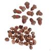 40x Dried Pinecones Acorns Crafts Home Table Ornaments