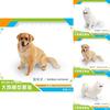 Pet Dog Replica Pvc Model For Childrens Learning Toy And Desktop Animal Display