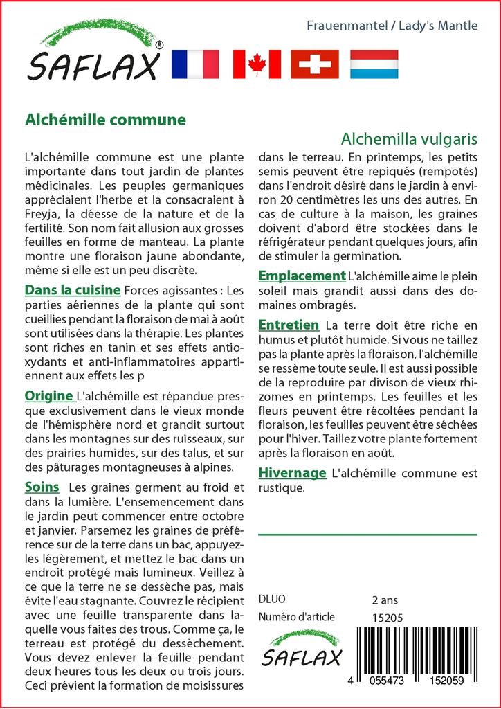 SAFLAX Garden in the Bag - Манжетка дамская - 100 семян - С субстратом в подходящем пакете - Alchemilla vulgaris