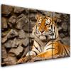 Three Piece Picture Canvas Print Africa Tiger Animals