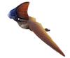 Safari Tapejara Pterosaur Figure 284229