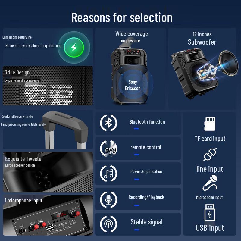 SA-T25 Portable High-Power Outdoor KTV Speaker