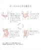Pelvic Girdle Postpartum Flattening Slimming High Hip 903207r LL Black [TwoHatch] "Super Long" Girdle, Belly, Thighs, Waist, Up,