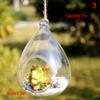 Hanging Transparent Ball Glass Flower Planter Vase Terrarium Landscape Container