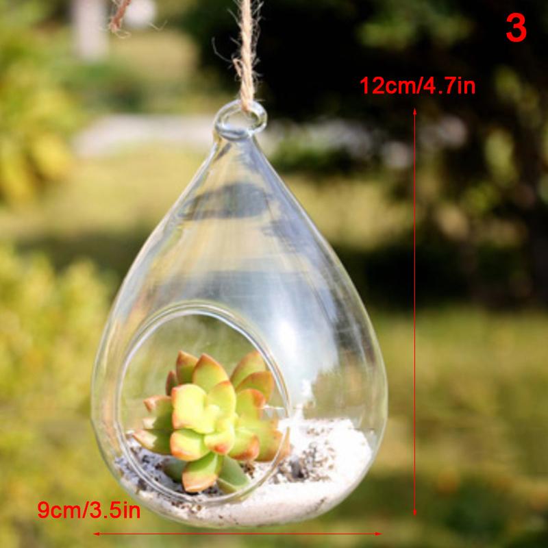 Hanging Transparent Ball Glass Flower Planter Vase Terrarium Landscape Container