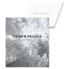 (В стиле книги) Подарочный каталог DEAN & DELUCA <УГОЛЬ-BC> (Обернутая лентой/Радужный серебристый B)