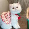 Товары для питомцев Милая летняя одежда для питомцев Мягкое платье для питомца с цветочным принтом Платья принцессы для питомцев Тонкий дизайн Дышащий жилет-юбка для собаки Весна