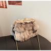 Осенью и зимой новая сумка для волос женская заколка для волос из лисы женская сумка текстура плечо через плечо облако сумка модная внешняя торговля женская сумка