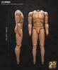 Toy Hobby Action Figure Compatible with COOMODEL Isoprime Body 23TOYS Male Body Action Body Limb [TOYBARJAPAN] 1/6 BD001/02/03/04/05/06 (excluding