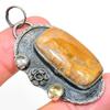 Natural Fossil Coral, Citrine Gemstone 925 Sterling Silver Pendant 2.25" B1d87