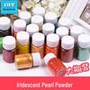 DIY Handmade Jewelry Epoxy Resin Pearlescent Color Powder with Fine Glitter Fillers