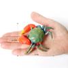 Realistic Prehistoric Sea Creatures Animal Figurines Baculite,Opabinia,Crab,Mantis Shrimp Educational Marine Animal Mode Figures
