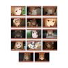 TV Anime and Merchant Meets the Wise Trading Holo Scene Acrylic Cards 2 Box "Spice Wolf Wolf" Vol. 14-Pack