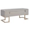 VidaXL Bench with Storage Compartment 105 Cm Grey Velvet
