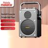 Malata M+9255 Портативная уличная Bluetooth-колонка для караоке, штекер CN (адаптер в комплекте)