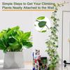 Plant Wall Clips Acrylic Adhesive Sticker Plant Climbing Wall Fixture Clips Plant Fixer Invisible Wall Vines Fixing Clips