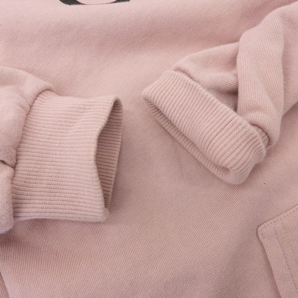 CELINE Men's Cotton Logo Pullover Hoodie, Pink, XS, 2Y321670Q tops XS pinkUsed