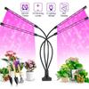 Full Spectrum LED Phytolamp with USB Timer Table Lamp for Growing Plants Vegetables Flowers Seedlings 10W 20W 30W 40W