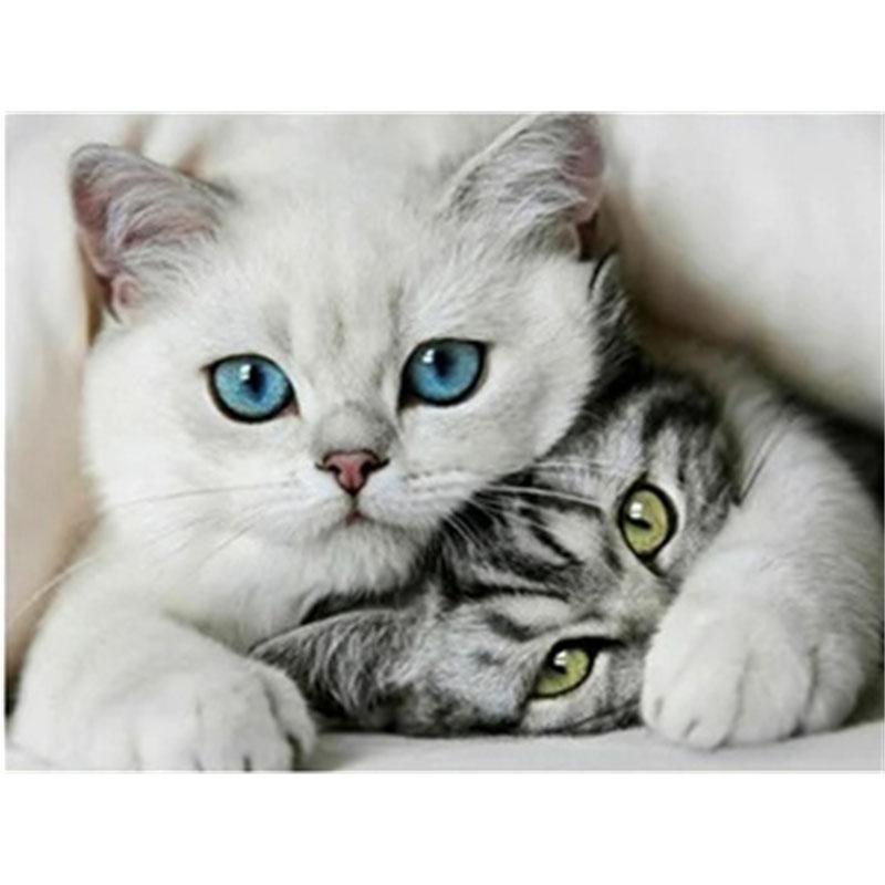 DIY Алмазная картина Котенок Набор для вышивки крестом Мозаичное искусство Алмазная картина Полный круг/квадрат Алмазное украшение для дома