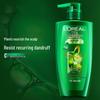 L'Oréal Tea Tree Extract Anti-Dandruff Oil Control Shampoo