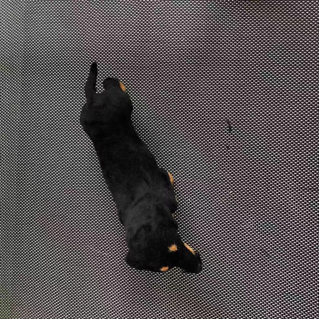 Игрушка такса: Маленькая модель животного, украшение