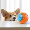 Pet Dog Interactive Ball Toy Puppy Bite-resistant Chewing Ball Dog Training Fetching Ball Supplies Molar Ball Dogs Supplies