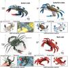 Crab Ocean Life Plastic Model Toy For Children Learning Marine Biology And Aquarium Decor