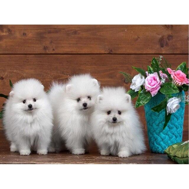 5D DIY Алмазная картина Набор Милый щенок Искусство Алмазная вышивка Стразы Украшения для дома