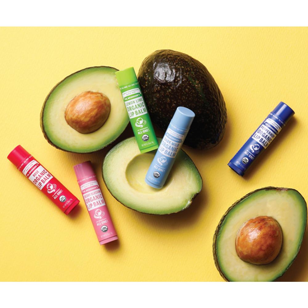 Dr. Bronner's Organic Lip Balm