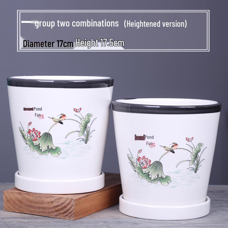 2025 Большой керамический цветочный горшок с поддоном для балкона и гостиной - Орхидея и Суккуленты в стиле альбома