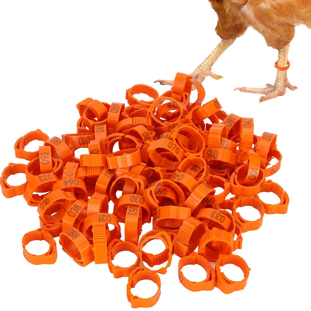 100 шт., кольцо для ног птицы, курица, утка, птица, пряжка, кольцо с зажимом и табличкой для кормления