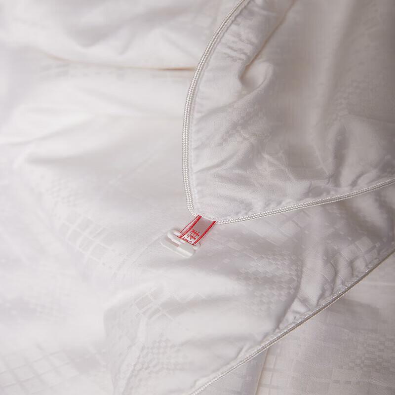 Hengyuanxiang All-Season Tussah Silk Quilt