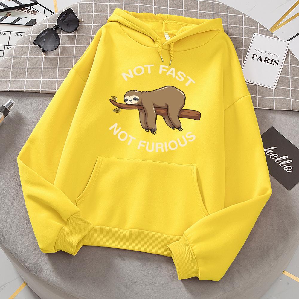 Not Fast Not Furious Sloth Sleeps Hanging From Branches Hoodies Women Novelty Fashion Hoody Loose Basic Hoodie Casual Warm Tops