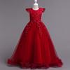 Princess Mesh Evening Gown for Girls - Children's Performance and Party Dress