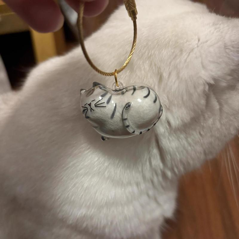 3 шт. Контейнер для шерсти моего питомца Коробка для хранения кошачьей шерсти Подвеска-брелок для кошки Сувениры для груминга шерсти питомца Подвесной декор для сумки