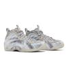 Air Foamposite One QS Dream A World - Технический серый DM0115-001