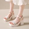 Wedge With Platform Waterproof Super-high Heel Women's Sandals Roman Style Ladies Shoes Summer 2025 Comfortable Luxury Sandal