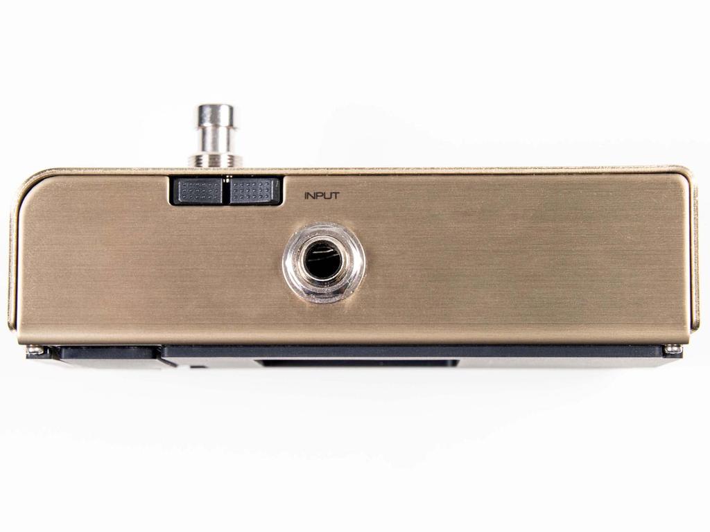 Peterson Pedal Strobe Tuner 75th Anniversary Limited Model StroboStomp LE Regular Import [Domestic Product]