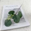 10pcs Direct Sales Simulated Eucalyptus Leaf Wedding Money Leaf Dining Table Flower Arrangement Artificial Eucalyptus Leaf Single Decorative
