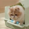 Ящик для кошачьего туалета, большой закрытый лоток для кошачьего туалета, лопатка для фекалий, защита от брызг, ящик для кошачьего туалета, товары для домашних животных