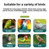 High-end Birdcage, Parrot Birdcage, Household and Villa Model, Convenient to Carry, Made of Metal Wire with an Attached Birdcage