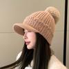Hat Women's Winter Fleece Knitted Hat Cold-proof and Warm Ear Protector Cap Fashion Thickened Wool Hat